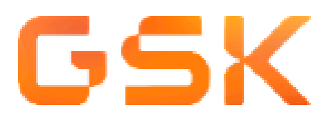 PLATINUM SPONSOR